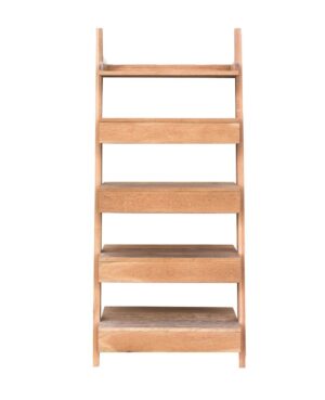 Ladder Bookshelf